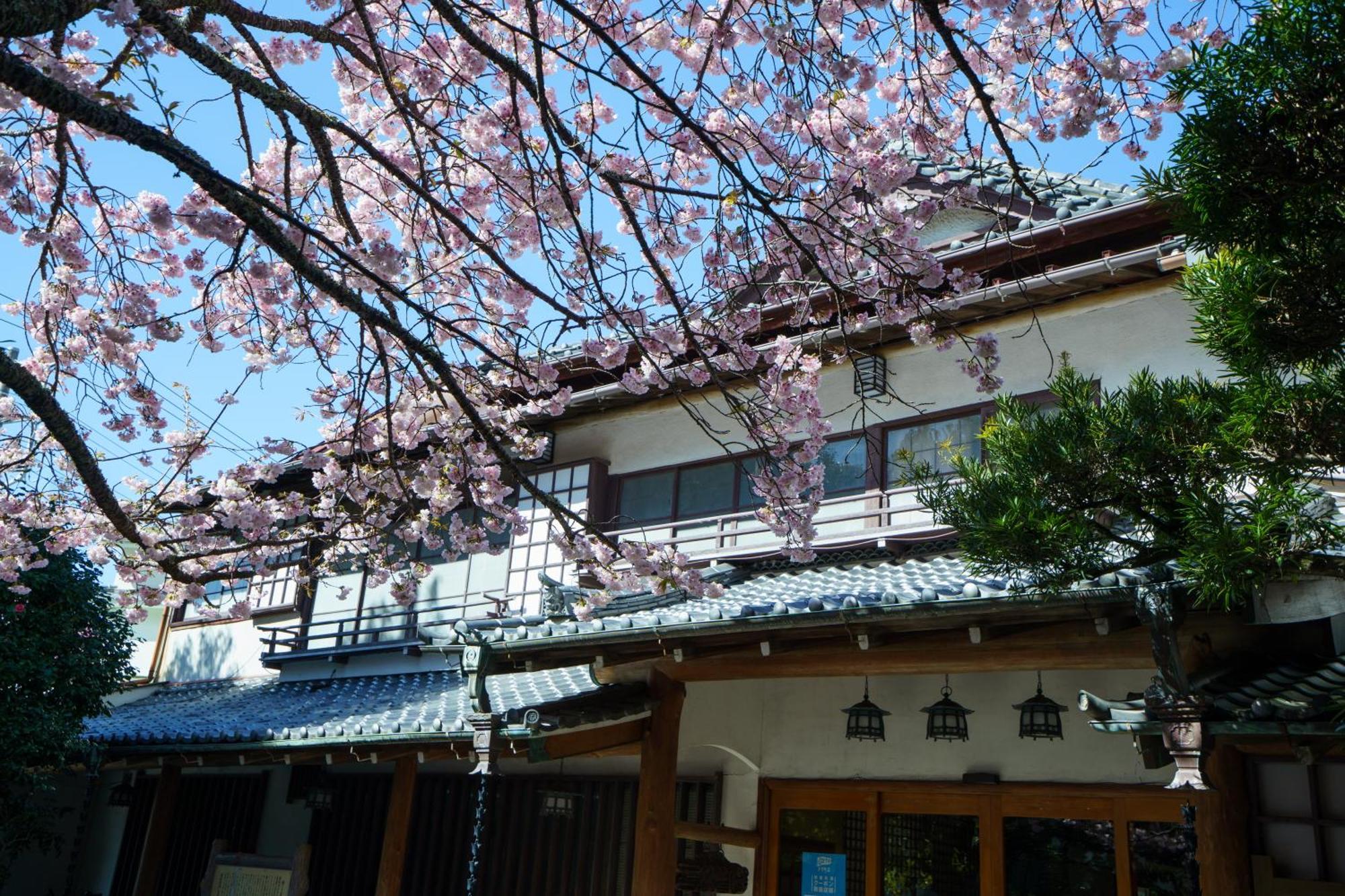 Sakahijiri Gyokushoen Izu  Exterior foto